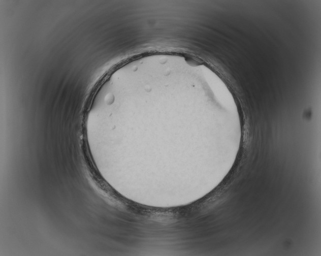X0000115680438200912241444