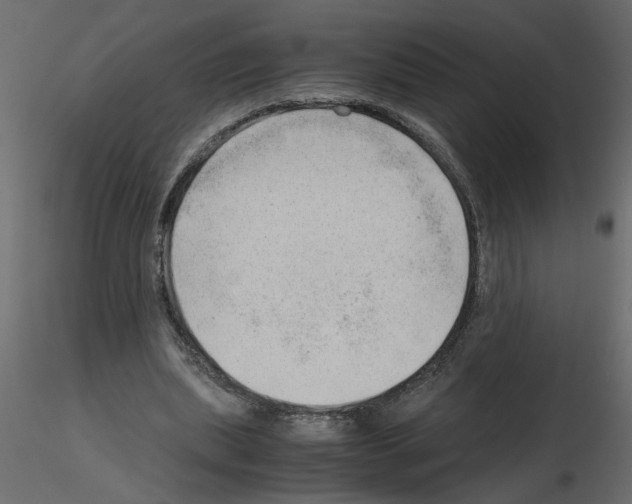 X0000115680439200912241444