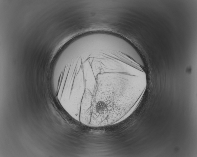 X0000115680440200912241444