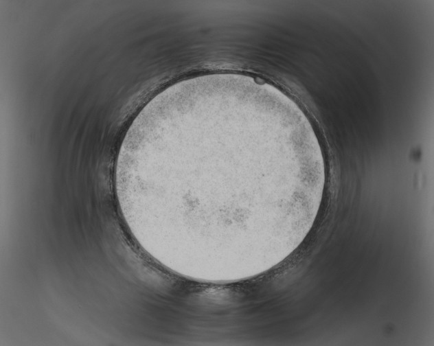 X0000115680441200912241444