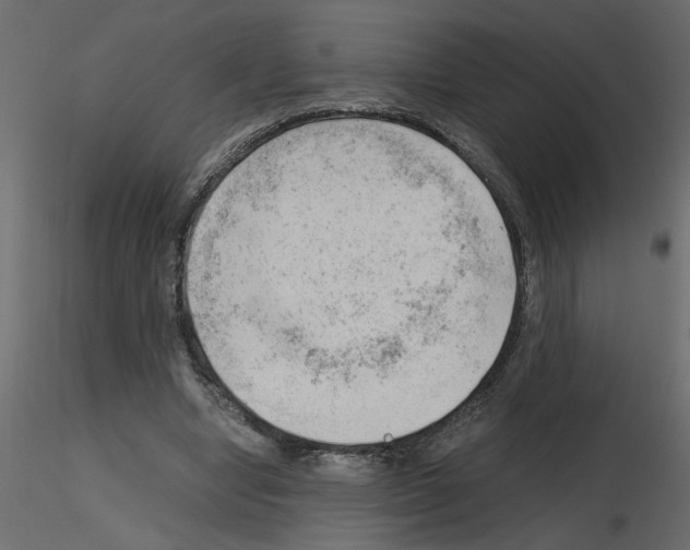 X0000115680442200912241444