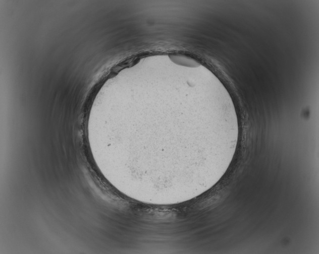 X0000115680443200912241444