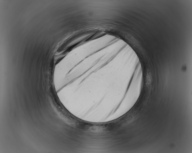 X0000115680444200912241444