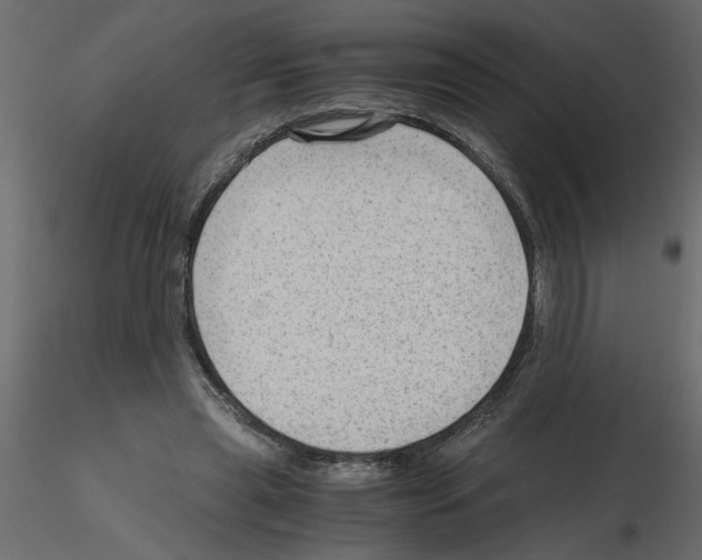 X0000115680445200912241444