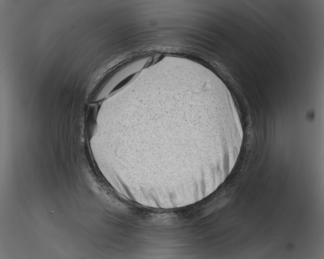 X0000115680446200912241444