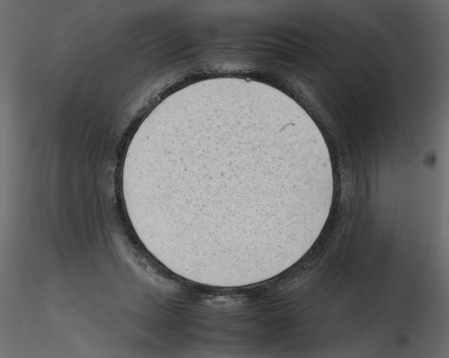 X0000115680447200912241444