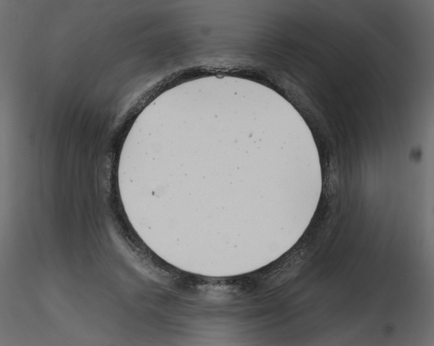 X0000115680448200912241444