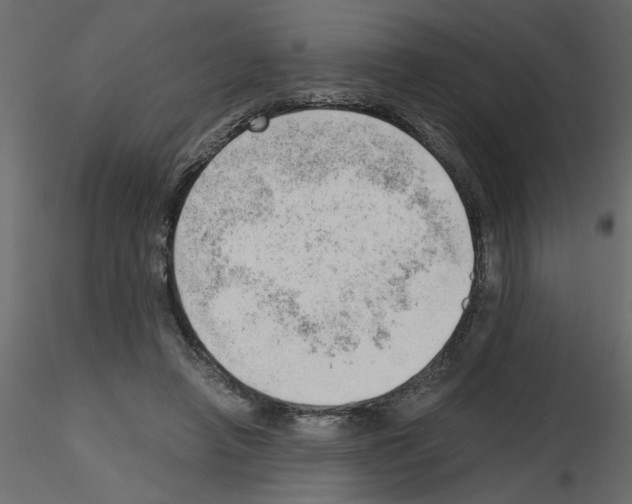 X0000115680450200912241444
