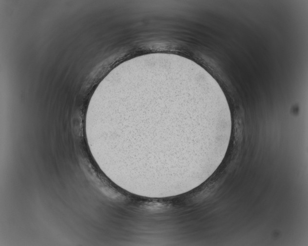 X0000115680453200912241444