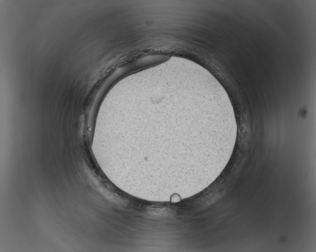 X0000115680454200912241444