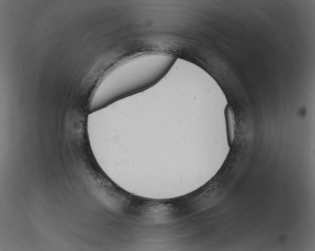X0000115680456200912241444