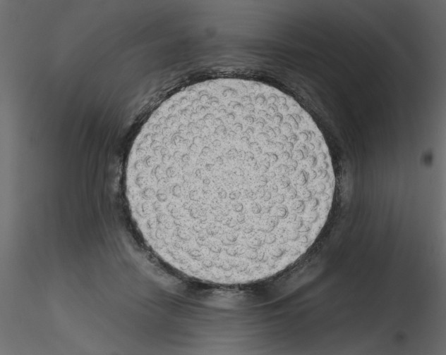 X0000115680458200912241444