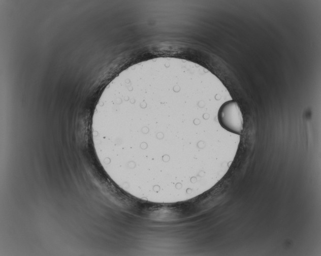 X0000115680460200912241444