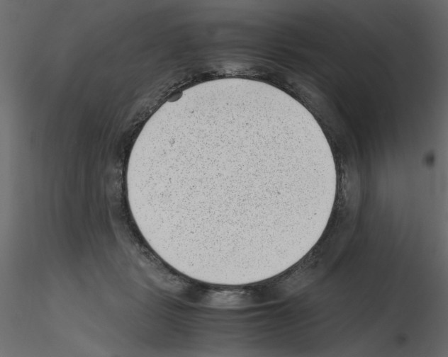 X0000115680461200912241444