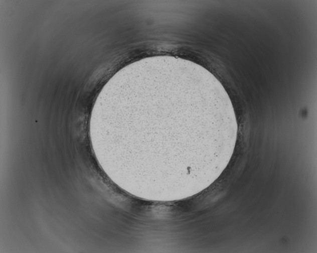 X0000115680462200912241444