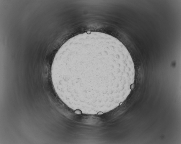 X0000115680463200912241444