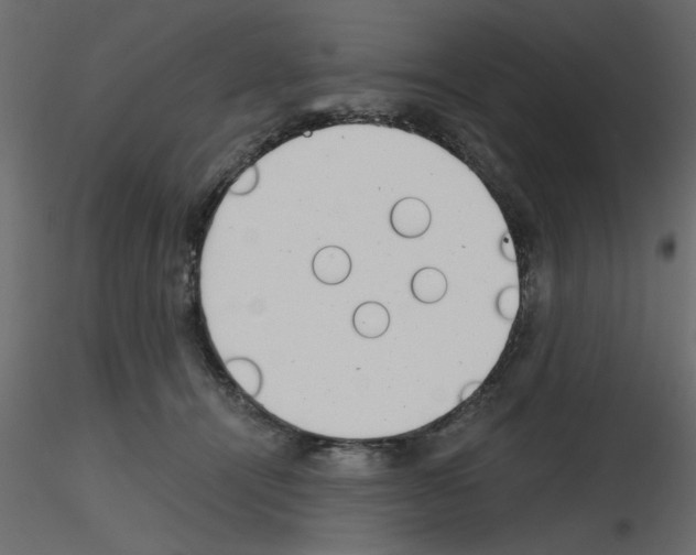 X0000115680464200912241444