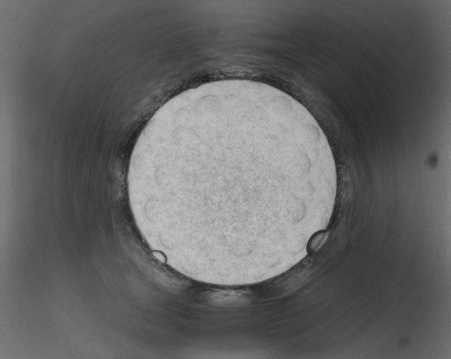 X0000115680465200912241444