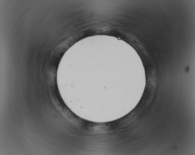 X0000115680468200912241444