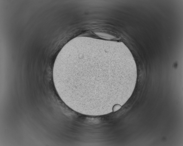 X0000115680469200912241444