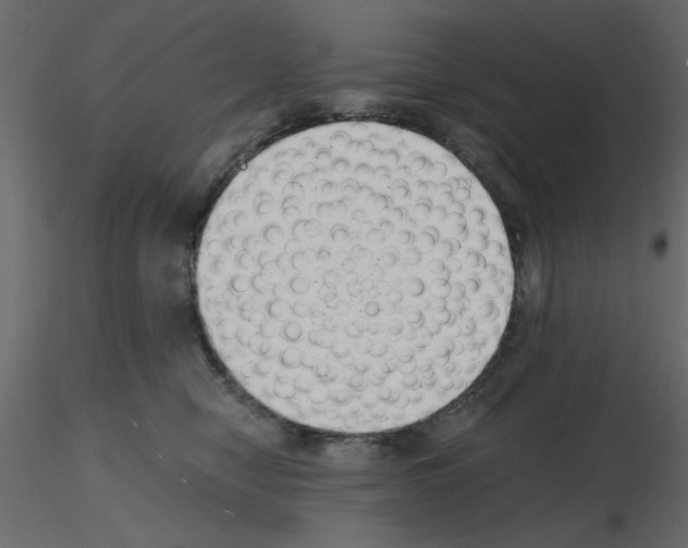 X0000115680470200912241444