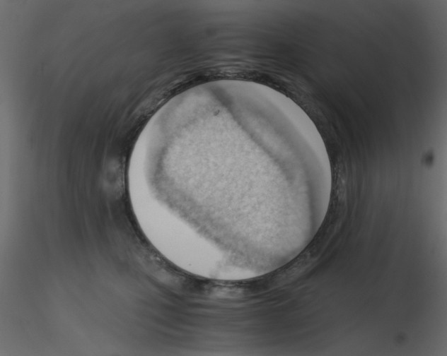 X0000115680471200912241444
