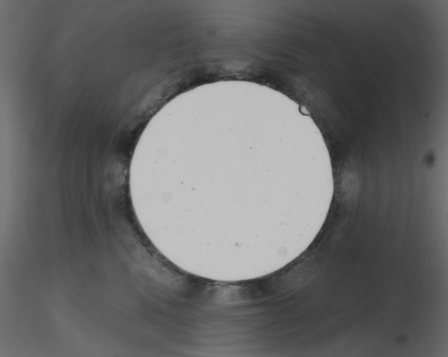 X0000115680472200912241444