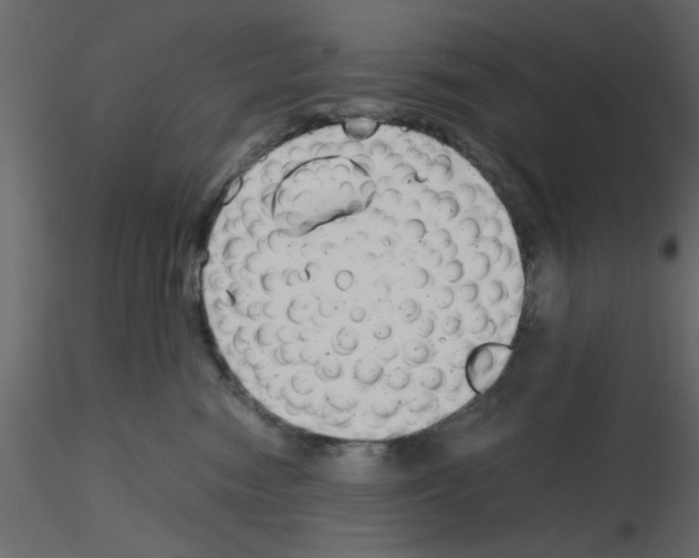 X0000115680474200912241444