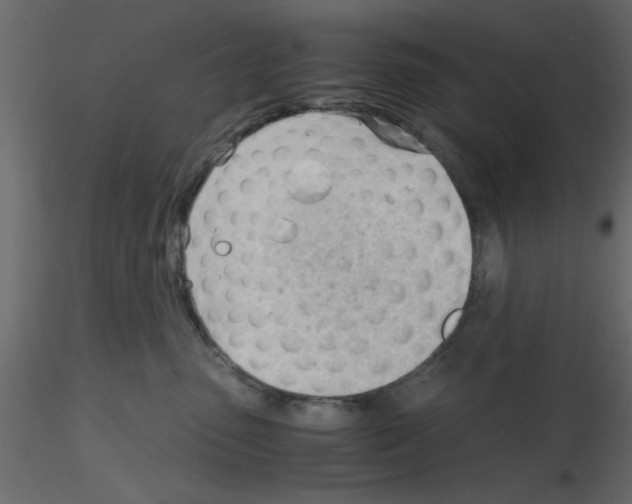 X0000115680475200912241444