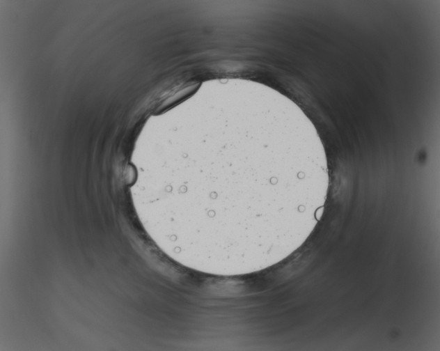 X0000115680476200912241444