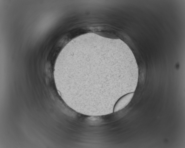 X0000115680477200912241444
