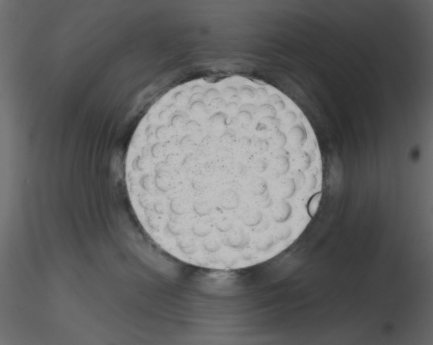 X0000115680478200912241444
