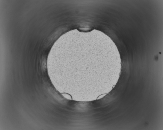 X0000115680479200912241444