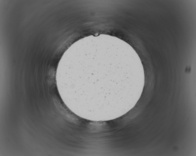 X0000115680480200912241444