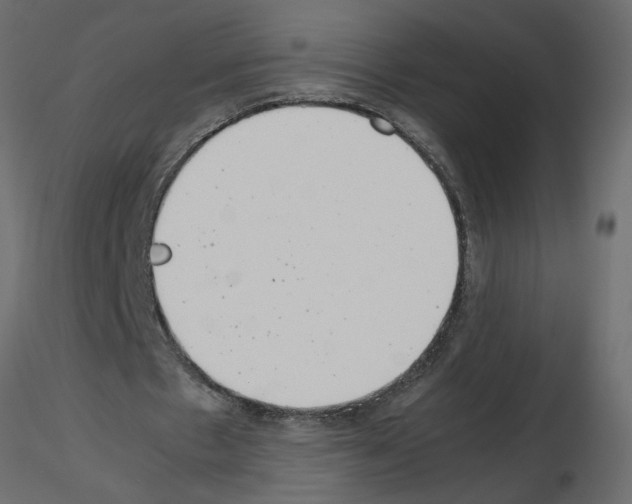 X0000115680481200912241444