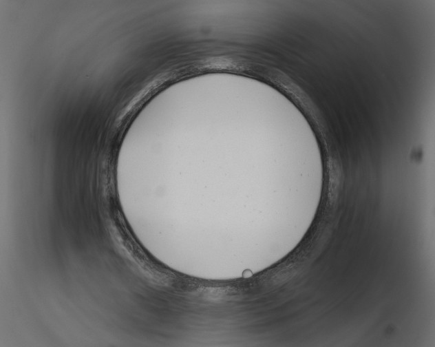 X0000115680482200912241444