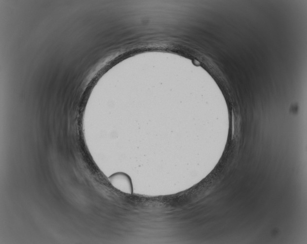 X0000115680483200912241444