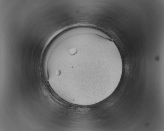 X0000115680484200912241444