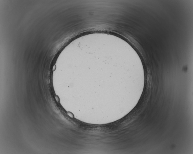 X0000115680485200912241444