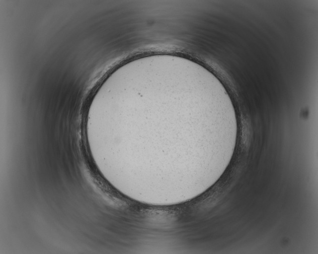 X0000115680486200912241444