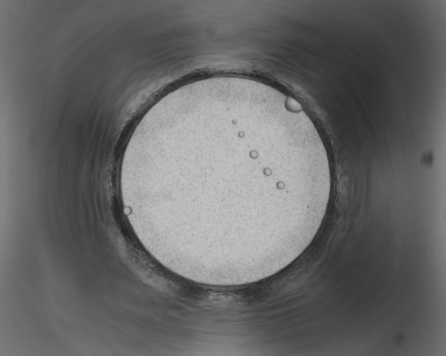 X0000115680487200912241444