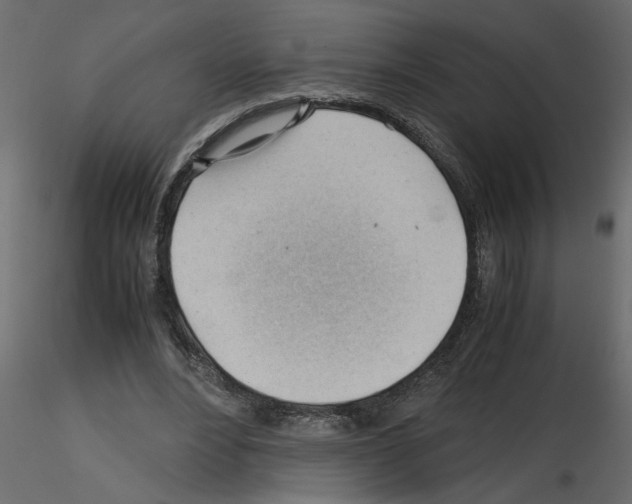X0000115680488200912241444