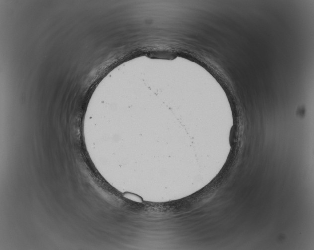 X0000115680489200912241444