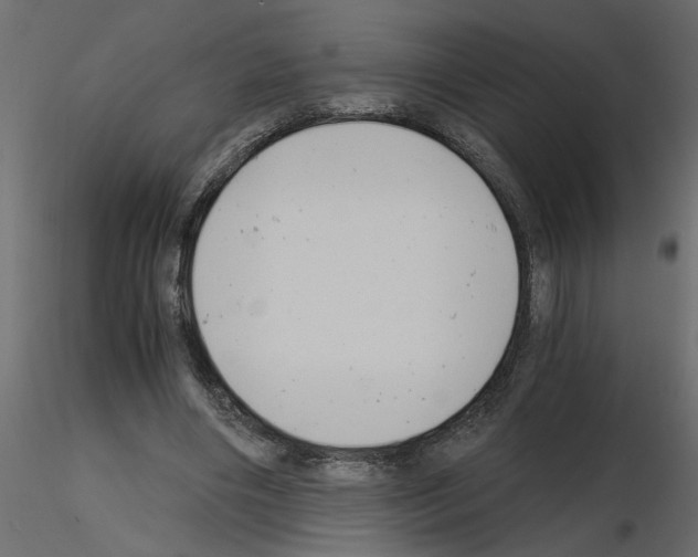 X0000115680490200912241444