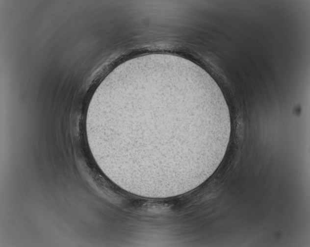X0000115680491200912241444