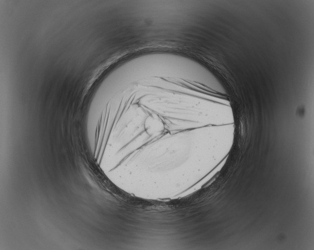 X0000115680492200912241443