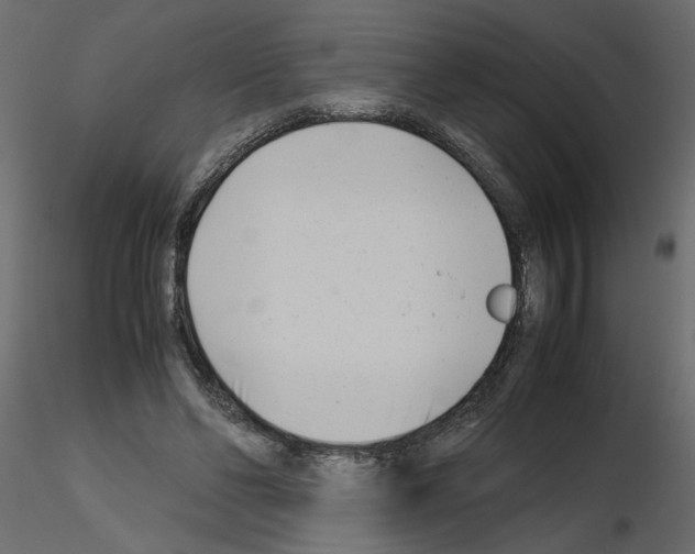 X0000115680494200912241443