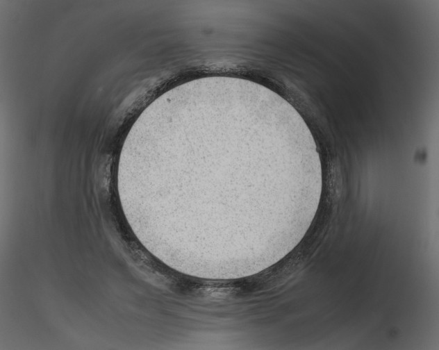 X0000115680495200912241443