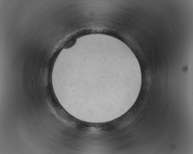 X0000115680496200912241443
