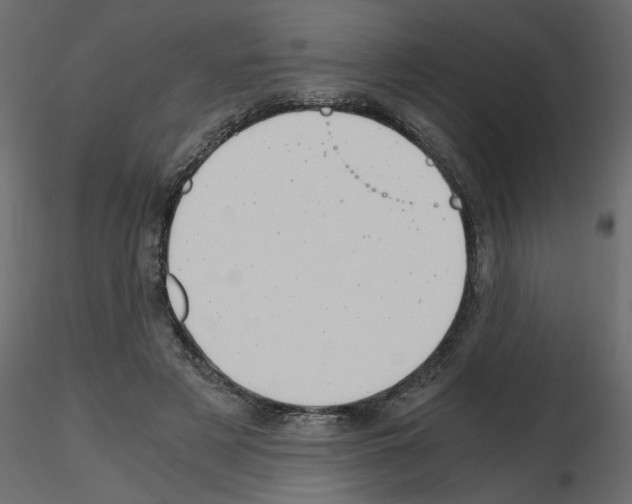 X0000115680497200912241443